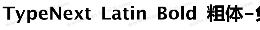 TypeNext Latin Bold 粗体字体转换